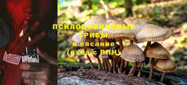 МДМА Бородино